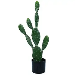 Штучна рослина Engard Cactus 75 cм (TW-41) - мініатюра 2