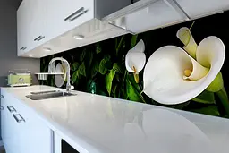 Кухонний фартух Білі Калли для кухні наклейка ПВХ пальми Зелений 65х250 см Happy Pocket Z180489