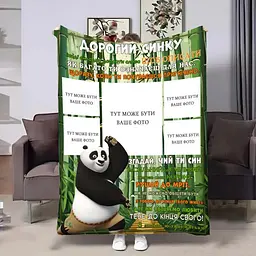 Плед 3D зі своїм фото для сина Панда Кунфу на 5 фото 32363 160х200 см