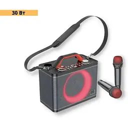 Портативна колонка XPRO BS57 валіза 30Вт USB SD FM радіо Bluetooth 2 мікрофони ДК (41912-BS57_2774) - мініатюра 2
