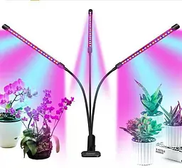 Світлодіодна фітолампа Grow Light для вирощування рослин, розсади Повний спектр 3 голови - мініатюра 3