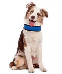 Охолоджуючий нашийник для собак Croci Harness Fresh 6х50 см синій - мініатюра 2