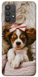 TPU чохол Demsky Sleepy spaniel для Samsung Galaxy A32 (A325F) 4G
