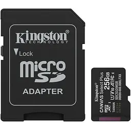 Карта пам'яті Kingston 256GB microSDXC class 10 UHS-I V10 A1 Canvas Select Plus (SDCS3/256GB)