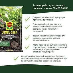 Торфосуміш COMPO SANA® для зелених рослин і пальм 10 л - мініатюра 4
