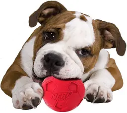 М'ячик для собак з пищалкою Nerf Dog Soccer Squeak Ball - мініатюра 6
