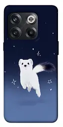 Чохол Demsky Тхір у снігу для OnePlus 10T