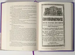Вінницьке намісництво (деканат) Русько-Католицької Церкви у XVIII ст.: дослідження, публікація актів візитацій. У 2-х томах - Олександр Петренко - мініатюра 12
