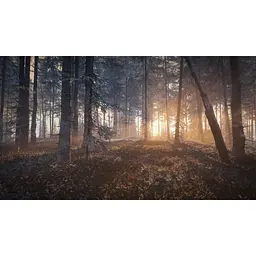 Ключ активації Microsoft TheHunter: Call of the Wild - Silver Bundle для Xbox One/Series - мініатюра 9