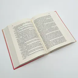 Маленький друг - Донна Тартт | Клуб Сімейного Дозвілля, книга українською, нова, тверда - мініатюра 4