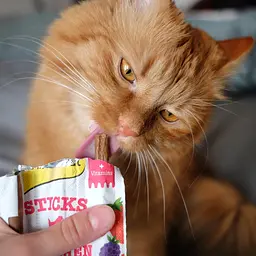 Ласощі для котів GimCat Superfood Duo-Sticks курка 3 шт. - мініатюра 5