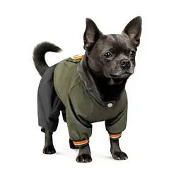 Дощовик Pet Fashion Jimi для собак, розмір S, зелений (лімітована серія) - мініатюра 2