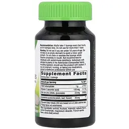 Цинк глюконат Nature's Way зі смаком ягід 60 пастилок - мініатюра 2