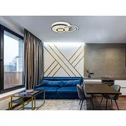 Світильник стельовий Miorro LED Erba з пультом ДУ та APP 96W 520х430х80мм чорний/білий (51-313-009) - мініатюра 5