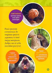 Шкряб! 100 цікавих фактів про гризунів - - мініатюра 8