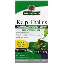Бурі водорості Nature's Answer Kelp Thallus 100 вегетаріанських капсул - мініатюра 2