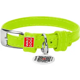 Нашийник для собак Waudog Glamour, шкіряний, з QR паспортом, 18-21х0,9 см, салатовий