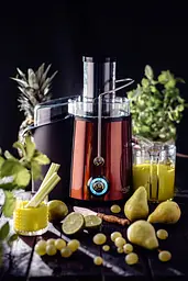 Соковижималка Adler AD 4129 copper 1000Вт/ контейнер для соку-1л/ контейнер для м'якоті-2л мідний - мініатюра 6