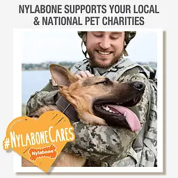 Іграшка для жування Nylabone Puppy Chew Toys для цуценят до 11 кг - мініатюра 6