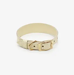 Шкіряний нашийник для собак "Almond" XS лимонний (обхват шиї 25-30см) - мініатюра 2