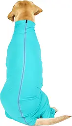 Комбінезон для відновлення собак Derby Pet Recovery Suit, Turquoise, M - мініатюра 5