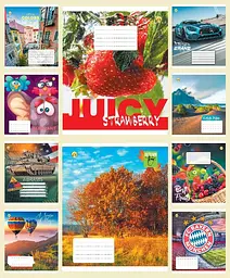 
Зошити учнівські 18 аркушів клітинка Тверда ТЕ21216 18КВ4 МІКС, 20 шт. в упаковці