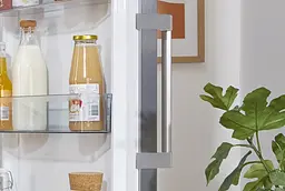 Холодильник Gorenje (R619FES5) - мініатюра 10