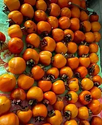 Саджанець Agro-Market Хурма на віргінській морозостійкій підщепі Корольок вищий сорт! (44807) 1 шт. в упаковці - мініатюра 3