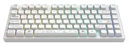 Клавіатура Dark Project ALU81 Terra Nova ENG/UA (DPKB_NOVA_81_ANSI_WHITE_UA) - мініатюра 4