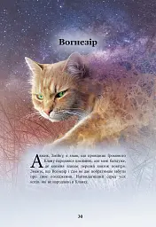 Коти - вояки. Герої Кланів. Хроніки Зореклану - Ерін Гантер - мініатюра 5