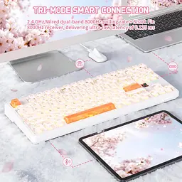Клавіатура Attack Shark X87 Ultra RGB Meg Shark Switches Wireless Iced Orange (AS-6979033730236-IO) [176652] - мініатюра 10