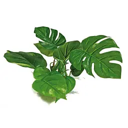 Рослина для акваріума Replica Anubias штучна, 15 см