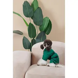 Комбінезон Pet Fashion EGO S2 зелений для собак - мініатюра 9