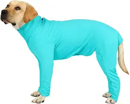 Комбінезон для відновлення собак Derby Pet Recovery Suit, Turquoise, M