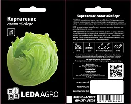 Салат айсберг Картагенас 10 шт Rijk Zwaan Leda Agro - мініатюра 2