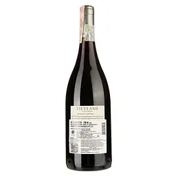 Вино Lievland Pinotage, червоне, сухе, 13,5%, 0,75 л - мініатюра 2