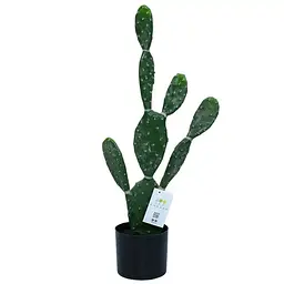 Штучна рослина Engard Cactus 75 cм (TW-41) - мініатюра 3
