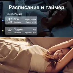 Розумна лампочка TP-Link Tapo L530E - мініатюра 6