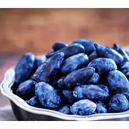 Саджанець Agro-Market Жимолість Богучарська (ранній термін дозрівання, висока транспортабельність) 1 саджанець (24605) - мініатюра 2