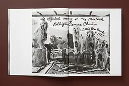 Bruce Weber. The Golden Retriever Photographic Society - мініатюра 2