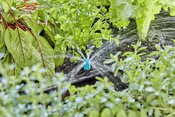 Мікродощувач Gardena Micro-Drip-System 10-40 см, 10 шт (13306-20) - мініатюра 4
