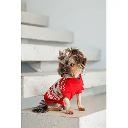 Светр плетений для собак Pet Fashion Winter S червоний - мініатюра 6