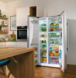 Холодильник Gorenje NRS9EVX1 - мініатюра 12