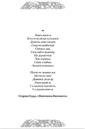 Рунічний Щоденник - мініатюра 3