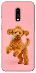 TPU чохол Demsky Happy poodle для OnePlus 7