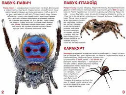 Велика книга Кристал Бук Павуки (F00014639) - мініатюра 2
