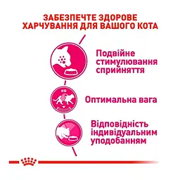 Сухий корм для вибагливих котів Royal Canin Exigent Protein 2 кг + Сухий корм Royal Canin Exigent Fussy для дорослих котів з вибагливим апетитом 400 г  - мініатюра 3