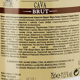 Набір: ігристе вино Cava Jaume Serra Брют 0.75 л + Шоколадні цукерки Guylia Морські Мушлі 125 г - мініатюра 5