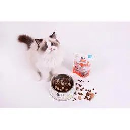 Ласощі для кішок Brit Raw Treat Indoor & Antistress Freeze-dried з куркою 40 г - мініатюра 3