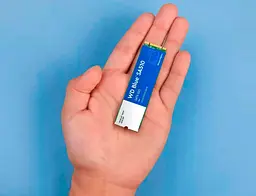 SSD накопичувач WD Blue SA510 500GB (WDS500G3B0B) [81930] - мініатюра 4